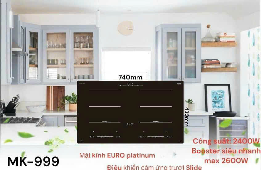 BẾP TỪ MALACKA 999
