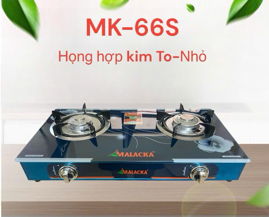BG MK-66S