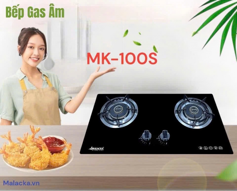 BẾP GA MK 100S